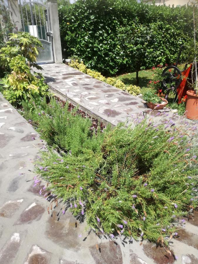 Piano di Follo B&B La Damigiana Fioi מראה חיצוני תמונה