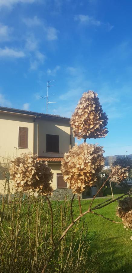 Piano di Follo B&B La Damigiana Fioi מראה חיצוני תמונה