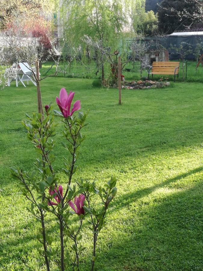 Piano di Follo B&B La Damigiana Fioi מראה חיצוני תמונה