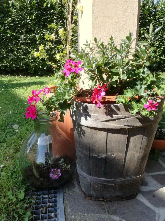 Piano di Follo B&B La Damigiana Fioi מראה חיצוני תמונה