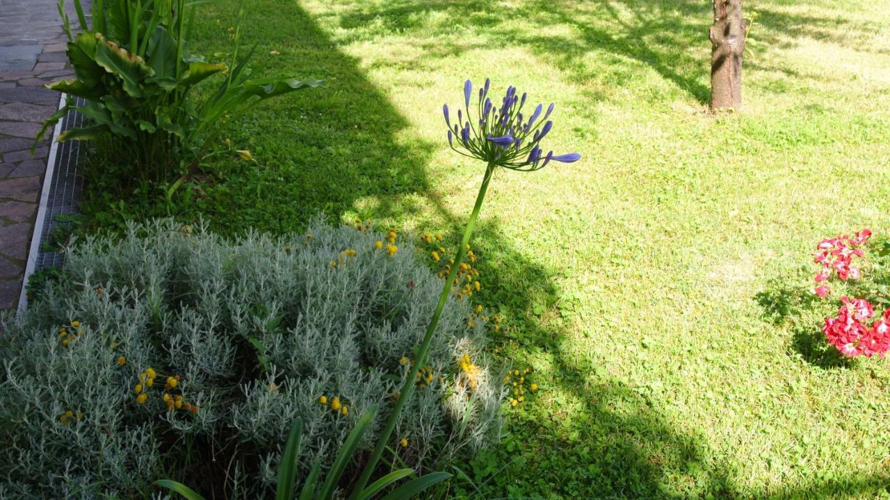 Piano di Follo B&B La Damigiana Fioi מראה חיצוני תמונה