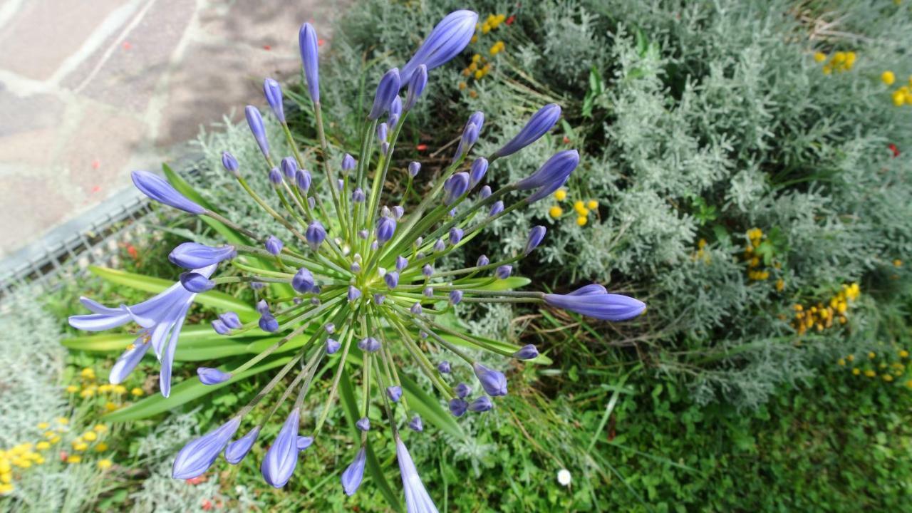 Piano di Follo B&B La Damigiana Fioi מראה חיצוני תמונה